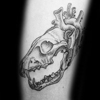 Big line work style tattoo of animal skull combined with human heart