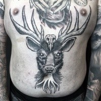 Big mystical engraving style belly tattoo of demonic goat with bird skull