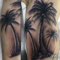 Tatuaje  de tres palmeras oscuros