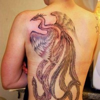 Big phoenix tattoo on whole back for women
