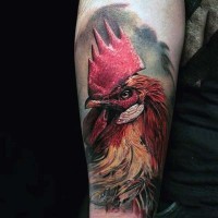 grande realistico foto multicolore testa di gallo tatuaggio su braccio