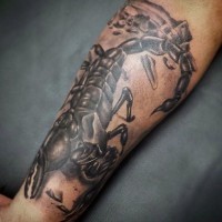 Großer realistisch aussehender schwarzer Skorpion Tattoo am Arm