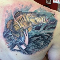 Big realistic looking multicolored hooked fish tattoo on shoulder