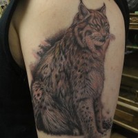 Big realistic painted and detailed wild cat tattoo on area of shoulder