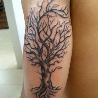 albero grande realistico tatuaggio mezza manica
