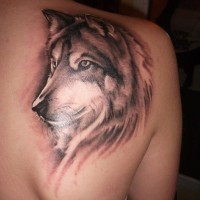 Tatuaje de lobo adorable realista en el hombro