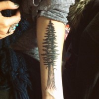 Big spruce forearm tattoo