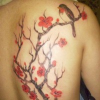 Tatuaggio colorato sulla schiena l'uccello sul ramo fiorito