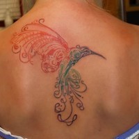 Tatuaggio colorato sulla schiena l'uccello di fantasia