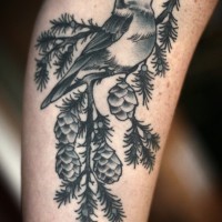 Tatuaje en el brazo, pájaro en la rama de abeto