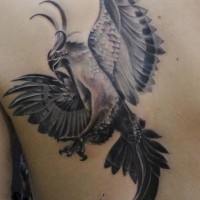 Black and gray phoenix tattoo design for shoulder blade