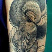 Schwarze und graue Schlange Tattoo am halben Ärmel