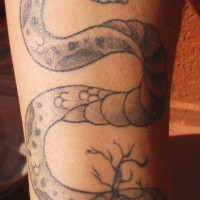 Schwarzgraue Schlange mit Baum Tattoo