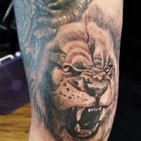 Black and gray style arm tattoo of lion head