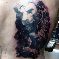 Black and gray style big half back tattoo of lion stone statue