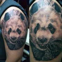 Black and gray style colored shoulder tattoo of cute eating panda