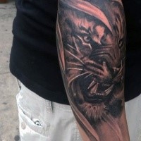 Black and gray style detailed angry tiger tattoo on forearm