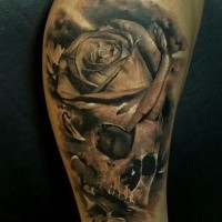Black and gray style detailed human skull with rose