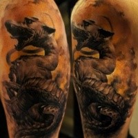 Black and gray style detailed shoulder tattoo of fantasy dragon