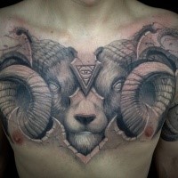 Black and gray style large chest tattoo of mysterious demonic goat