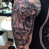 Black and gray style shoulder tattoo of lion heads family