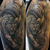 Schwarzer und grauer Stil Kampf des Tigers und Schlange Tattoo auf der Schulter