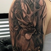Black and gray style very detailed shoulder tattoo of deer in forest