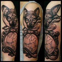 Black and gray style very detailed shoulder tattoo of cute cat with mirror