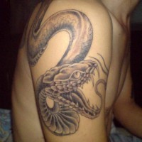 Black and gray snake tattoo on shoulder