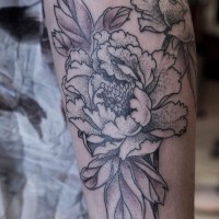Black and white peony flowers tattoo on forearm