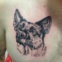 disegno nero pastore tedesco tatuaggio su petto