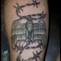 Tatuaje en la pierna,
alambre de espina con águila