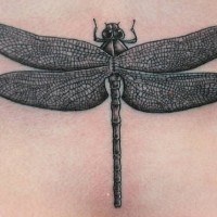 Black gray detailed dragonfly tattoo