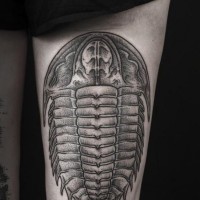 Tattoo von schwarzgrauem Insekt am Schenkel von Daniel Meyer