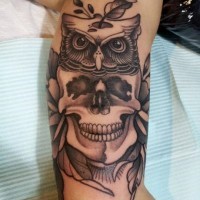 Black gray skull owl tattoo on arm