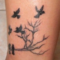 Schwarze Tinte Vögel auf Baum Tattoo
