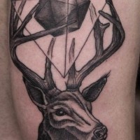 Schwarze Tinte Hirschkopf Tattoo am Arm