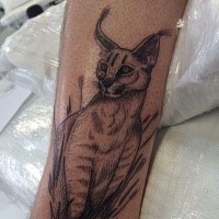 Black ink dot style tattoo of realistic caracal with grass