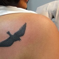 inchiostro nero uccello volante tatuaggio sulla scapola