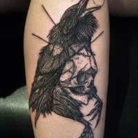Black ink raven with skull tattoo