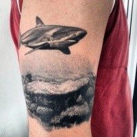 Black ink shoulder tattoo of big shark