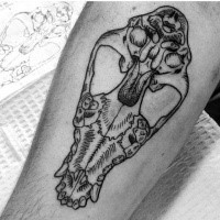 Black ink simple animal skull tattoo on forearm