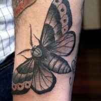 Tatuaje en el antebrazo,
polilla clásica oscura