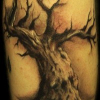 Black old tree tattoo