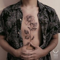 Black outline style nice looking chest tattoo of rose by Zihwa