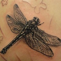 Black realistic dragonfly tattoo
