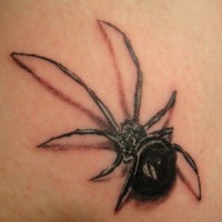 Black spider tattoo