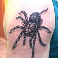 Black tarantula spider tattoo on shoulder
