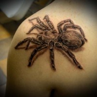 Black tarantula tattoo on shoulder