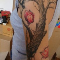 Black tree with red flowers tattoo on arm